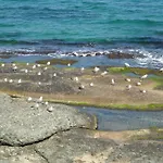 Ξενοδοχείο Romance Kiten (Burgas)